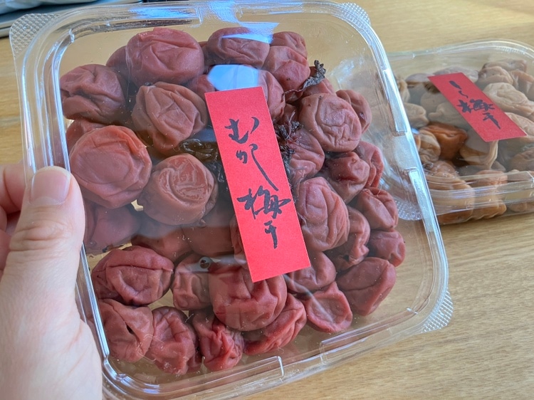 王隠堂農園の昔梅干500g(自家用)_s40
