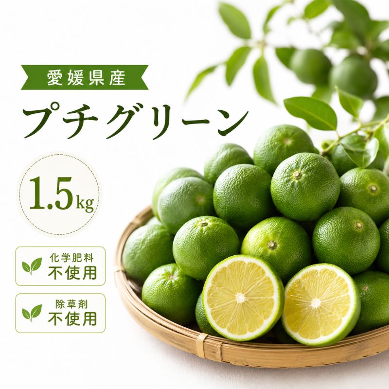 【数量限定】愛媛県無茶々園のプチグリーン1.5kg（摘果みかん・青みかん）_s50