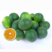【数量限定】愛媛県無茶々園のプチグリーン3kg(摘果みかん・青みかん)_s50
