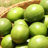 国産レモン1kg前後(マイヤーレモン)(無農薬・有機栽培同等品)_s26