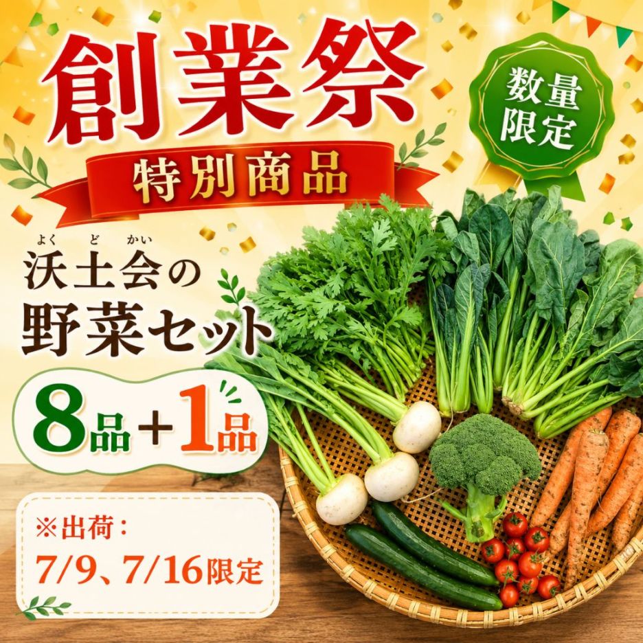 産地直送 旭愛農の野菜と卵のセット(送料無料)