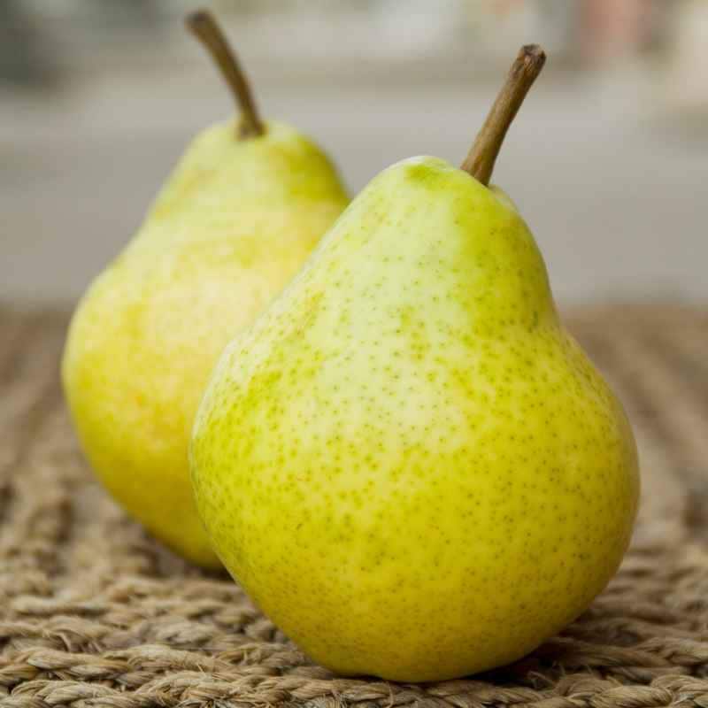 米沢郷の洋梨　ラ・フランス ３kg(山形県産)_s70