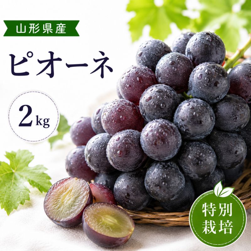 米沢郷のぶどう ピオーネ２ｋｇ(山形産)_s70