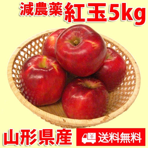 米沢郷のりんご　紅玉5kg（山形県産）_s70