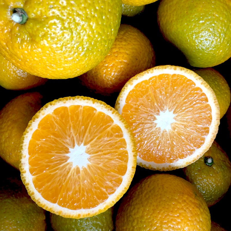 【有機栽培】佐藤さん家のスイートスプリング5kg(サイズL〜3L)佐...