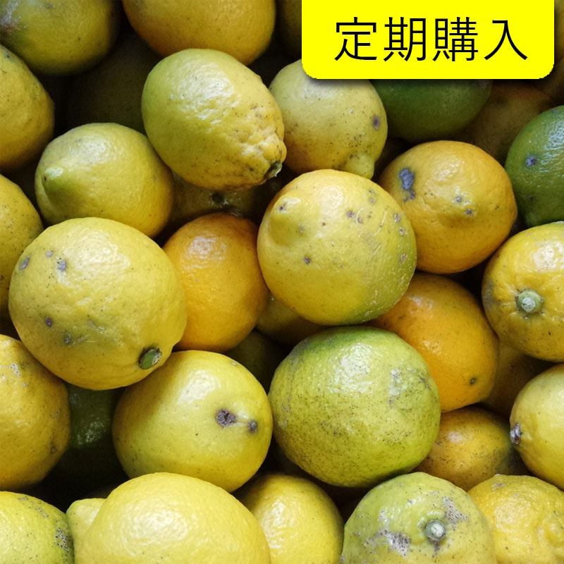 [定期購入]国産レモン10kg前後(無農薬・有機栽培同等品)_s26