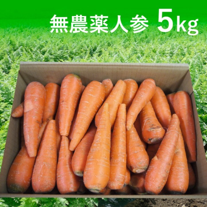 [定期購入]無農薬人参ジュース用5kg【有機栽培同等品】_s26