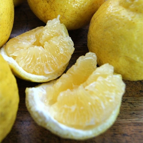 愛媛県 無茶々園のはるか7kg_s50