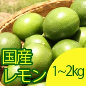 [お試し]国産レモン1kg／2kg(マイヤーレモン)(無農薬・有機栽培同等品)_s26