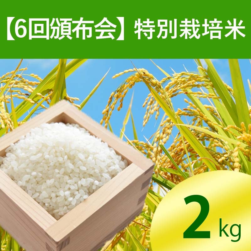 新米 令和2年産 コシヒカリ 特別栽培米 年間契約 (5名様まで 新米 令和2年産 コシヒカリ 特別栽培米 年間契約 (5名様まで