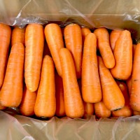 ֤ͭͻ10kg(櫓)ͭƱ_s26
