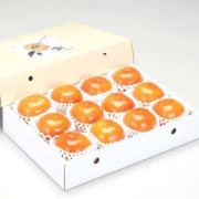 王隠堂農園の富有柿2L×12玉_s40