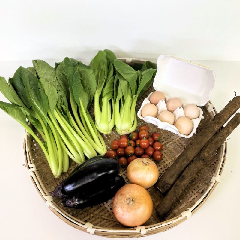 あさひの野菜と卵のセット(小)_s90