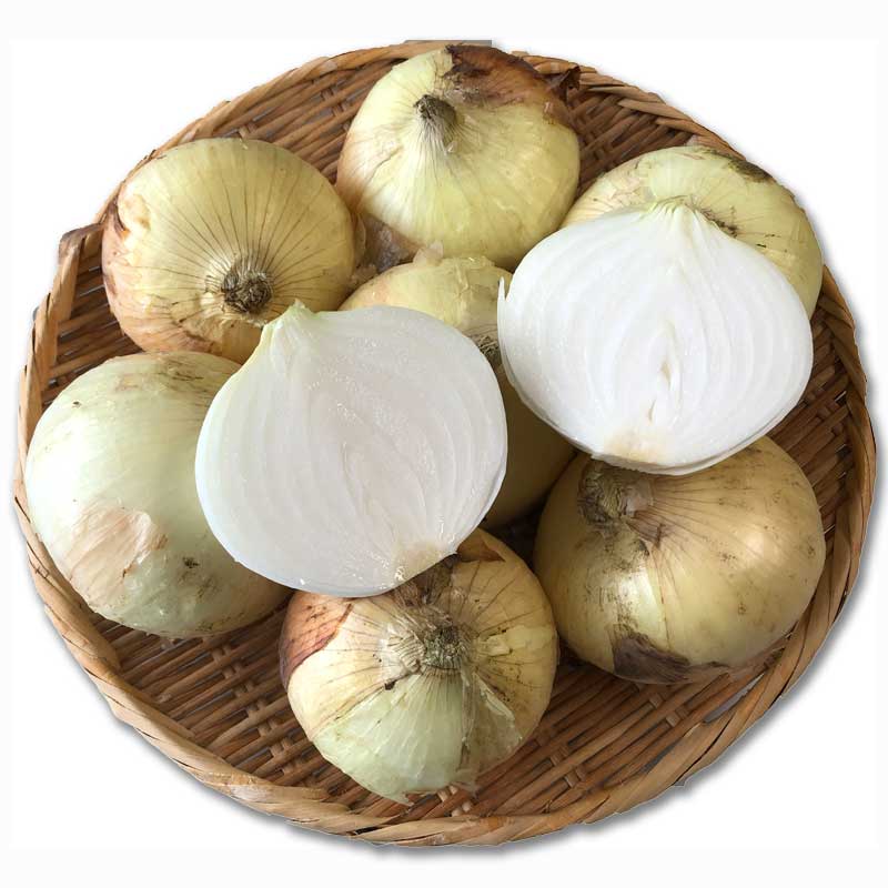 塩たまちゃん3kg(熊本県産)_s26