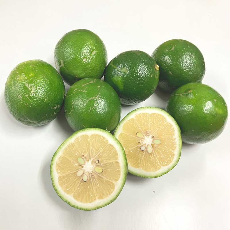 国産レモン3kg前後(マイヤーレモン)(無農薬・有機栽培同等品)_s26