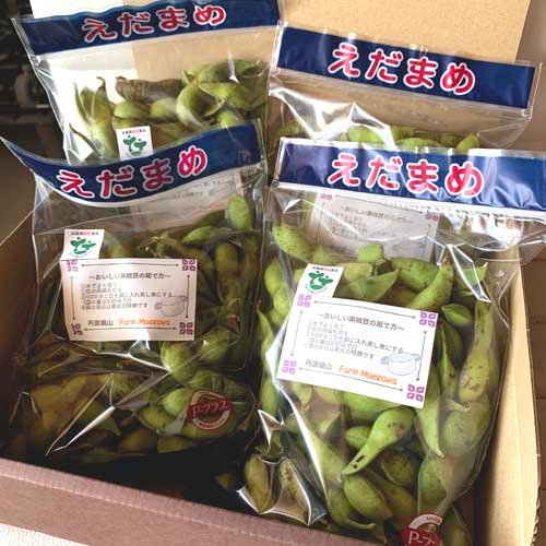 有機栽培　丹波篠山の黒枝豆(200g×4袋)_s25