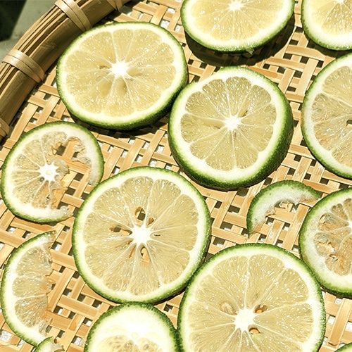国産レモン5kg前後(マイヤーレモン)(無農薬・有機栽培同等品)_s26