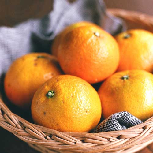 愛媛県 無茶々園の伊予柑7kg_s50
