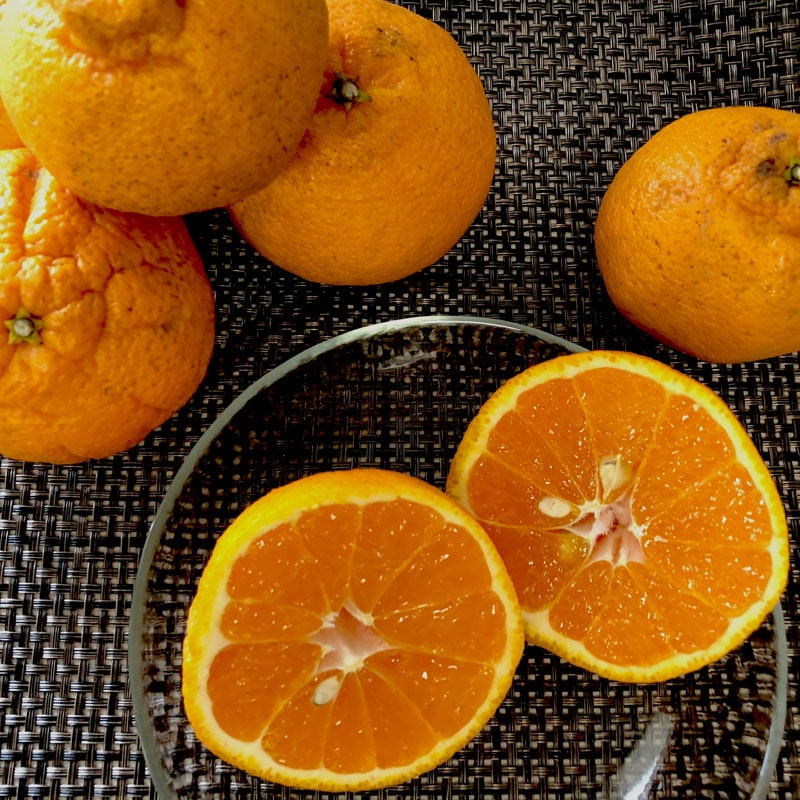 愛媛県 無茶々園の不知火3kg_s50