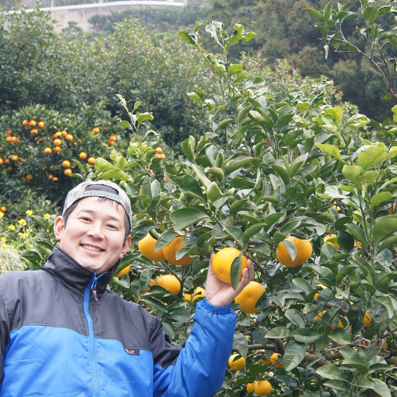 愛媛県 無茶々園のはっさく3kg_s50