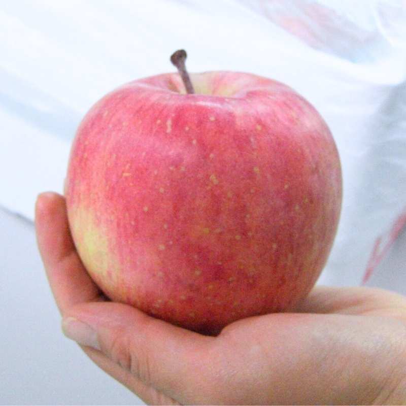 ジュース用りんご5kg(慣行栽培)(青森県産)_s26