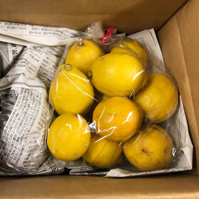 [お試し]無農薬レモン1kgまたは2kg(リスボンーレモン)(無農薬・有機栽培同等品)_s26