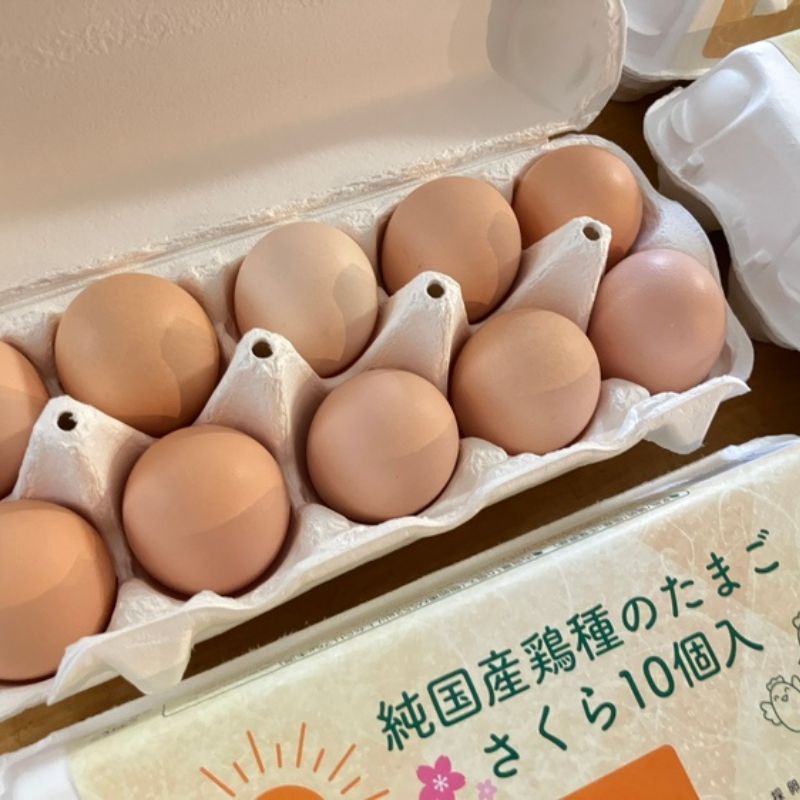 【定期購入】林さんのさくら卵60個(54個+破損保障6個)_s90