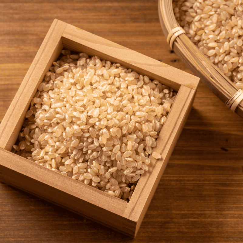 〔赤とんぼ〕無農薬コシヒカリ10kg(玄米)_s20