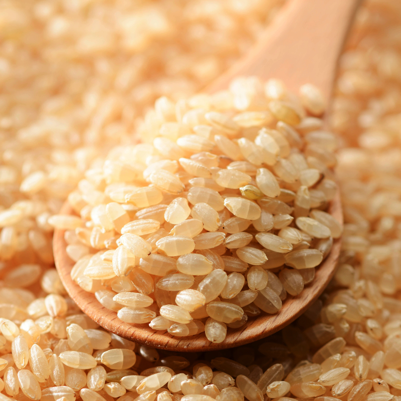 〔赤とんぼ〕無農薬コシヒカリ10kg(玄米)_s20