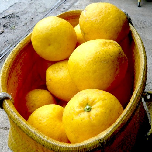 愛媛県 無茶々園のジューシーフルーツ7kg_s50