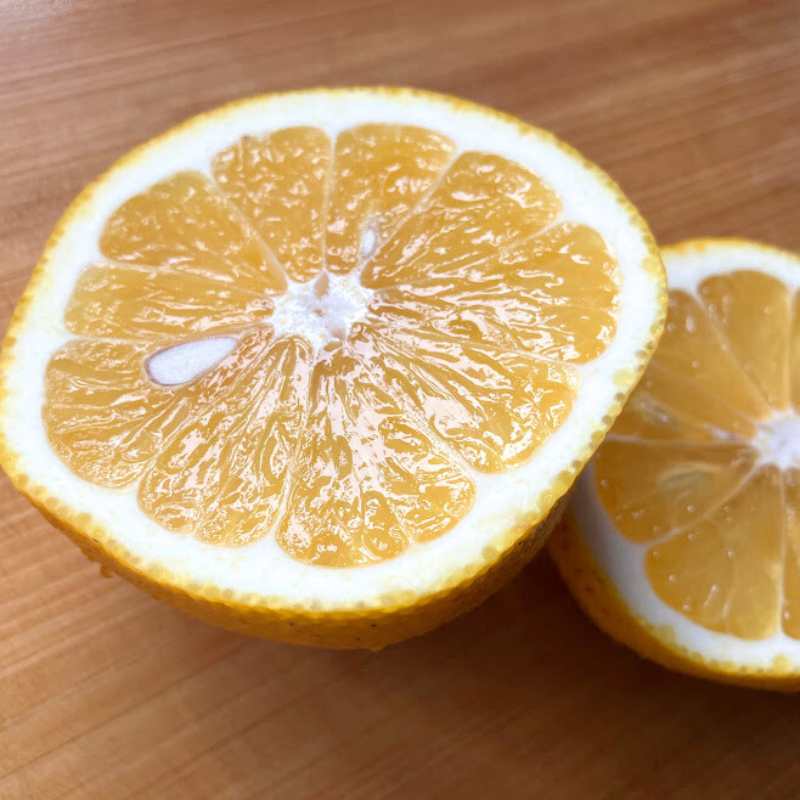 愛媛県 無茶々園のジューシーフルーツ3kg_s50