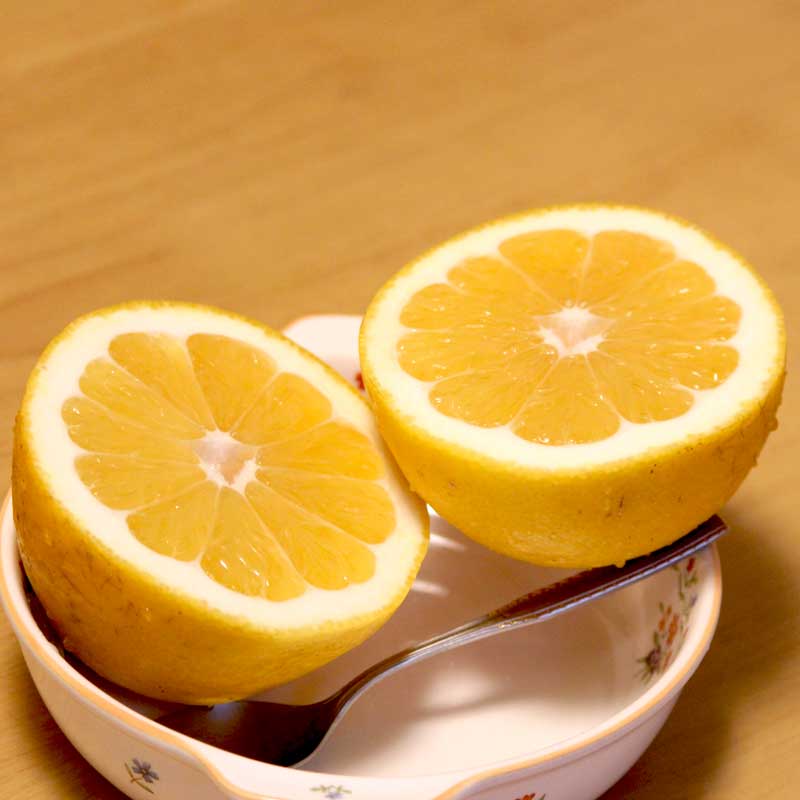 愛媛県 無茶々園のジューシーフルーツ3kg_s50