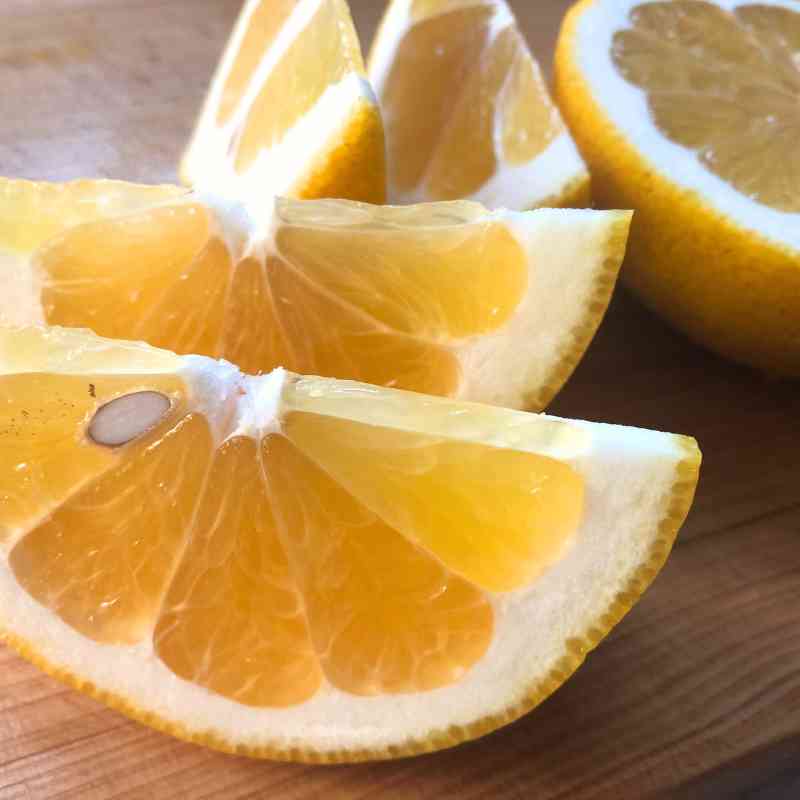 愛媛県 無茶々園のジューシーフルーツ3kg_s50