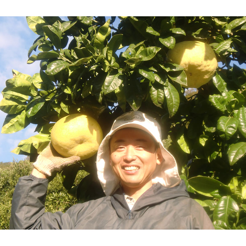 愛媛県 無茶々園の紅まどか7個_s50