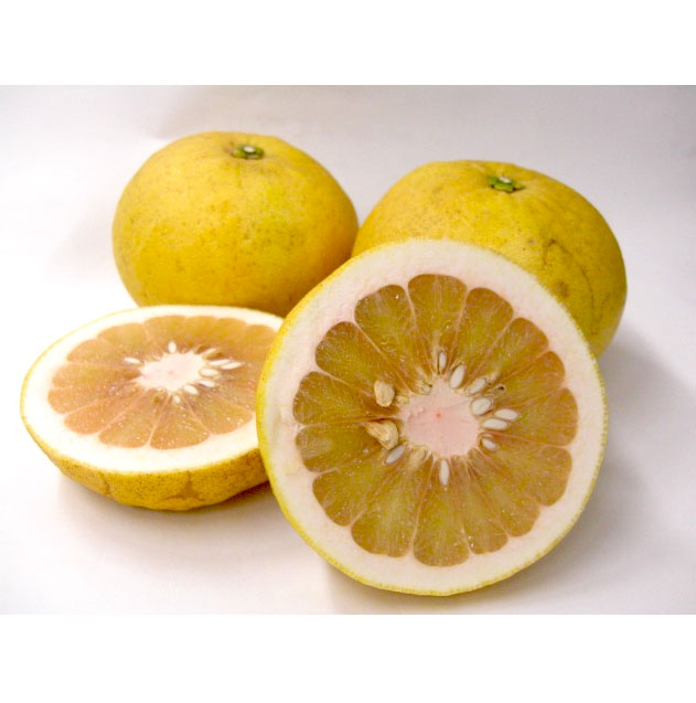 愛媛県 無茶々園の紅まどか7個_s50