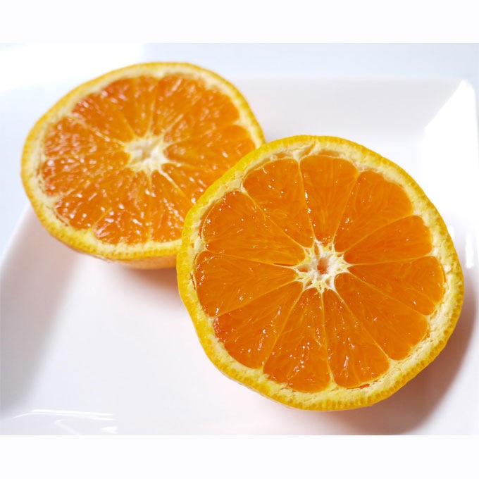 愛媛県 無茶々園のなつみ(南津海)3kg_s50