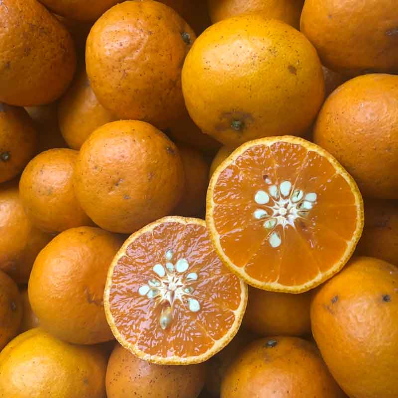 愛媛県 無茶々園のなつみ(南津海)3kg_s50