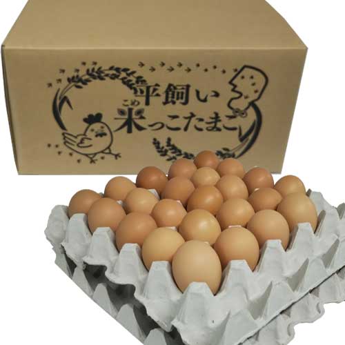 [定期購入]米沢郷の平飼い米っこたまご50個前後(破損補償5個含む)_s20