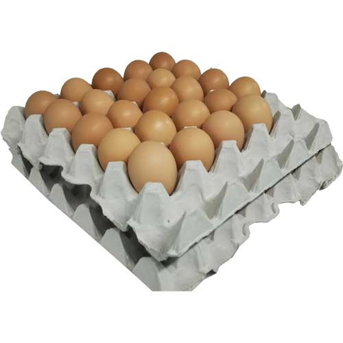 [定期購入]米沢郷の平飼い米っこたまご50個前後(破損補償5個含む)_s20