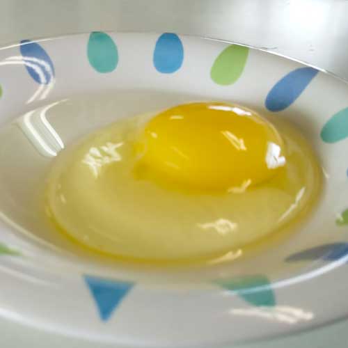 [定期購入]米沢郷の平飼い米っこたまご50個前後(破損補償5個含む)_s20