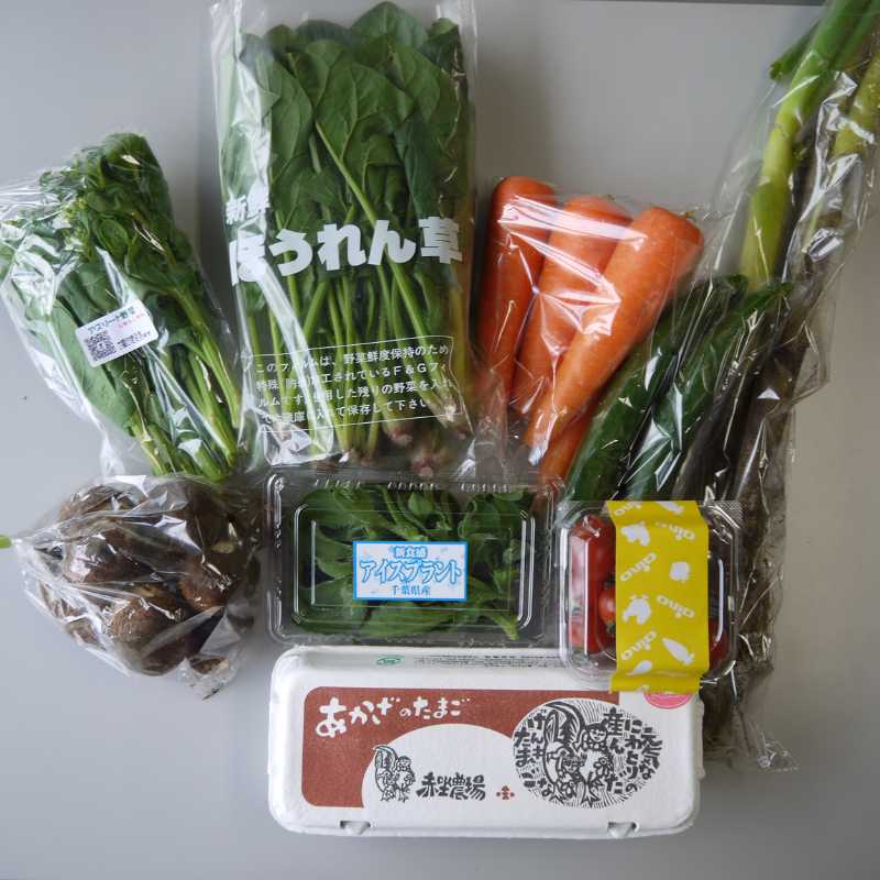[定期購入]あさひの野菜と卵のセット（大）_s90