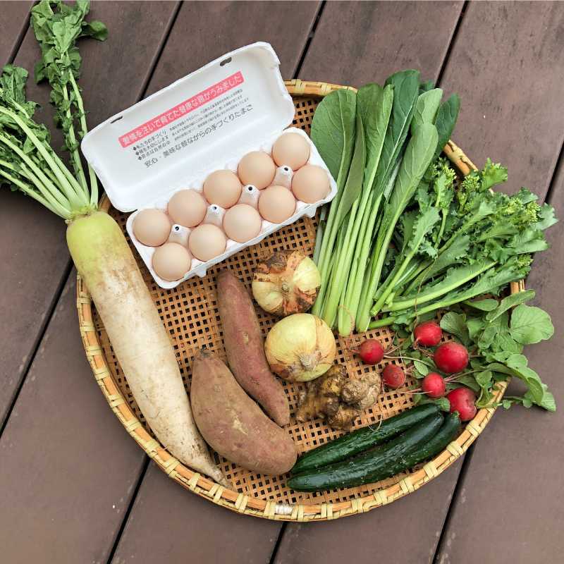 [定期購入]あさひの野菜と卵のセット（大）_s90