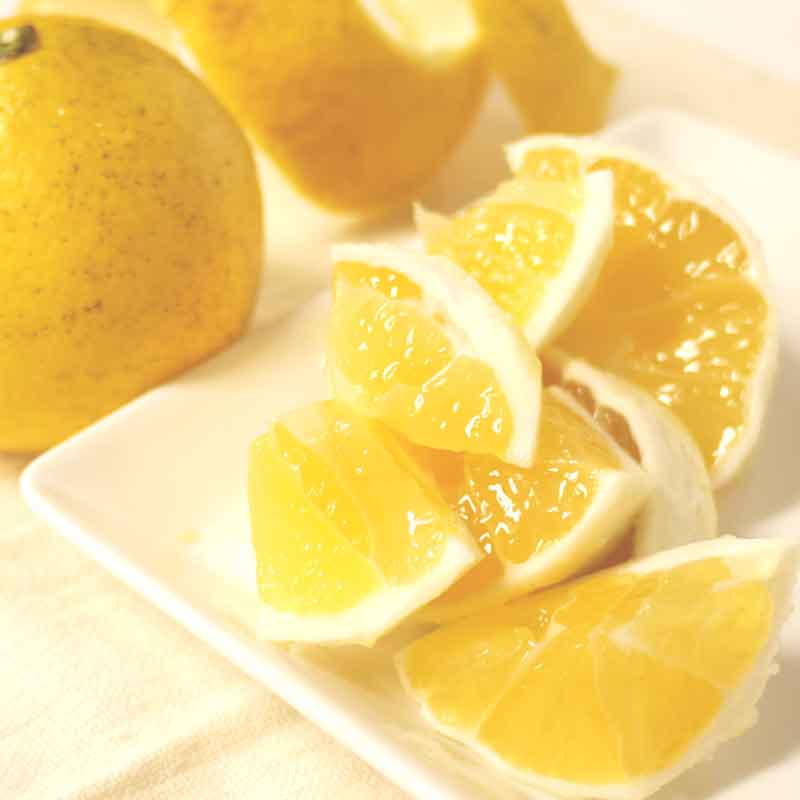 愛媛県 無茶々園のニューサマーオレンジ7kg_s50