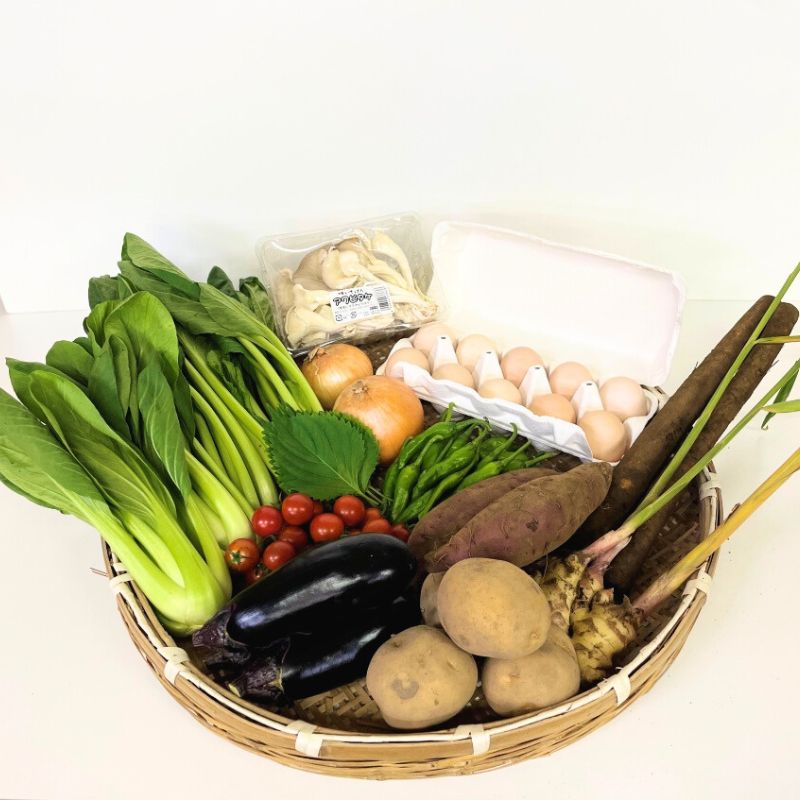 あさひの野菜と卵のセット(大)_s90