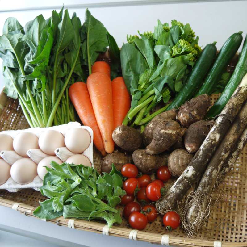 あさひの野菜と卵のセット(大)_s90