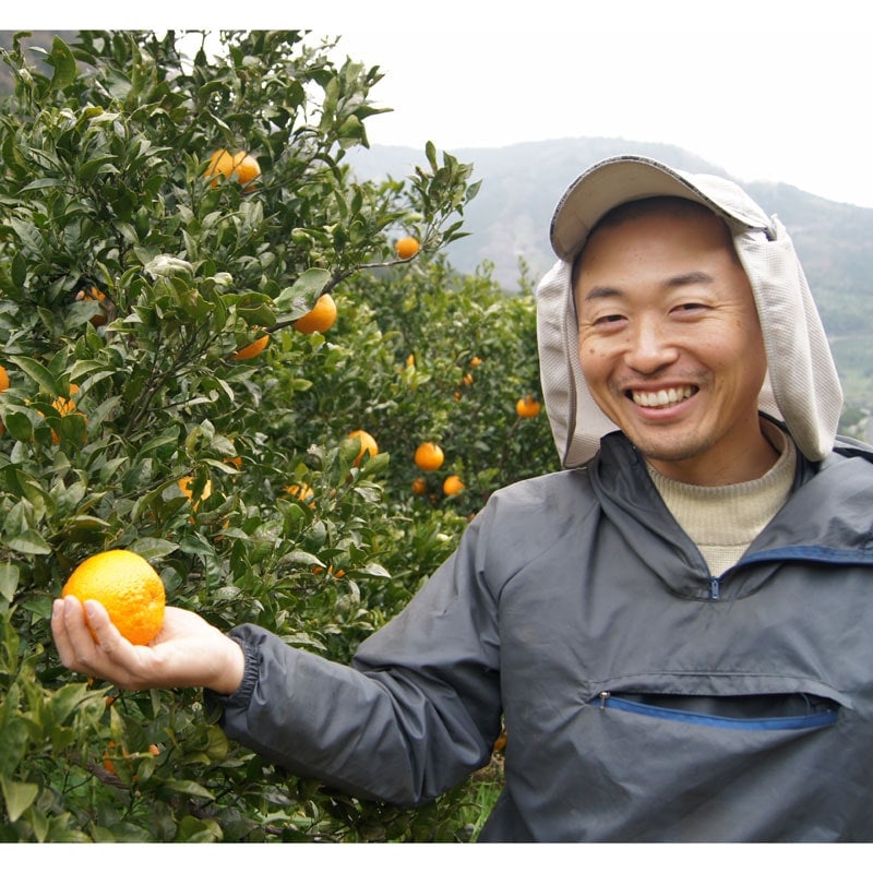 愛媛県 無茶々園の不知火7kg_s50