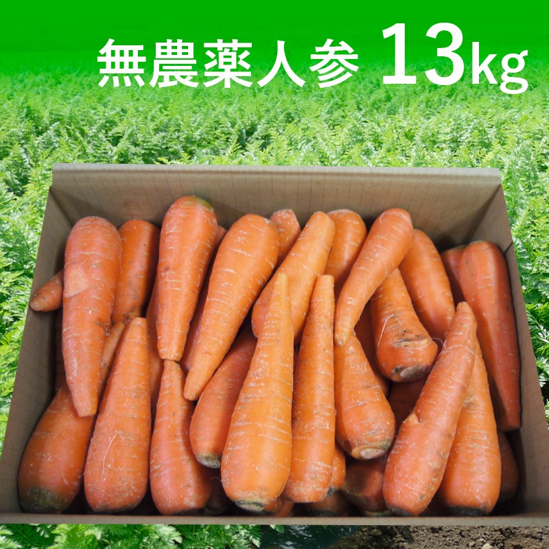 [定期購入]無農薬人参ジュース用13kg【有機栽培同等品】_s26