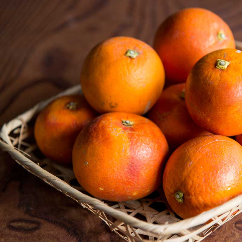 【数量限定】愛媛県 無茶々園のブラッドオレンジ7kg_s50