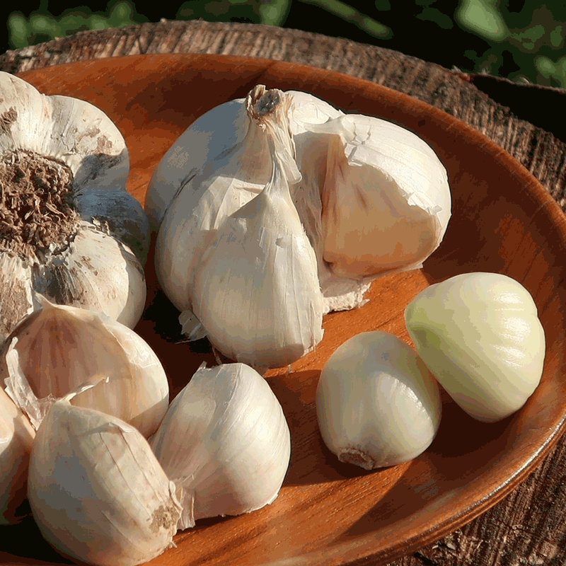 北海道滝本農場の完熟濃厚にんにく2kg(有機栽培)_s25