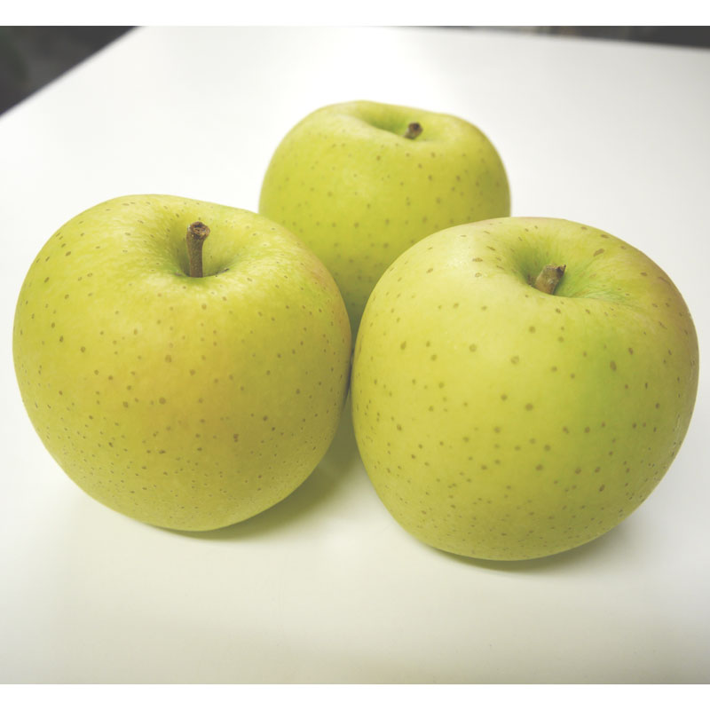 ジュース用りんご2kg(青森県産)(特別栽培)_s26